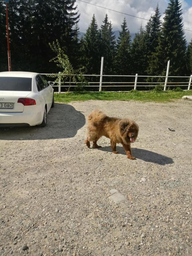 Cetina Hotell Ranca Exteriör bild